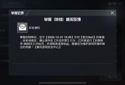 《揭秘和平精英外挂制作网：游戏作弊背后的真相与风险》_和平精英外挂制作网