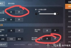 关于《和平精英》是否需要开启辅助瞄准功能的探讨_到底要不要开辅助瞄准和平精英