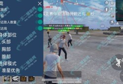 和平精英锁血透视锁头挂_pubg挂锁头透视和平精英