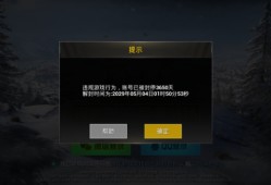 和平精英无敌bug_和平精英bug无敌挂