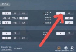和平精英辅助瞄准打开还是关闭_和平精英自瞄怎么关闭