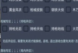 揭秘和平精英职业选手的外挂操作：从游戏技巧到心理素质的全面解析_和平精英职业选手外挂操作