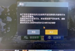 和平精英不知道队友是挂怎么解封_和平精英一个人开挂全队被封号吗