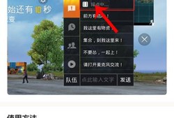 和平营地怎么开启辅助功能_和平精英怎么开营地辅助