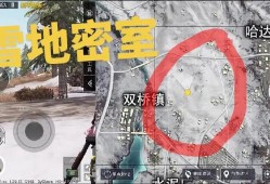 《和平精英雪地挂墙技巧独家解析，人气主播带你玩转冰天雪地战场！》_和平精英雪地挂墙主播