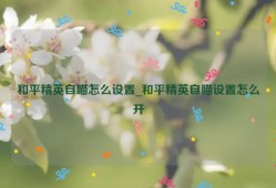 和平精英自瞄怎么设置_和平精英自瞄设置怎么开