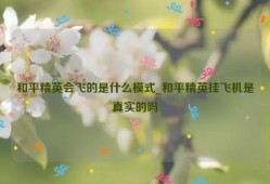 和平精英会飞的是什么模式_和平精英挂飞机是真实的吗