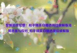 警惕游戏犯罪：和平精英自瞄透视挂破解版及其危害与应对_和平精英自瞄透视挂破解版