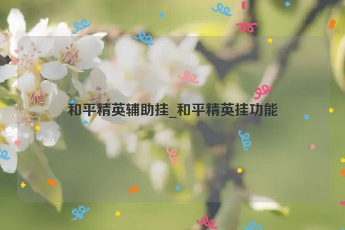 和平精英辅助挂_和平精英挂功能