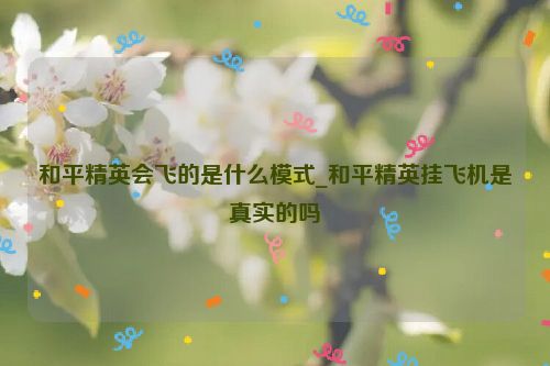 和平精英会飞的是什么模式_和平精英挂飞机是真实的吗