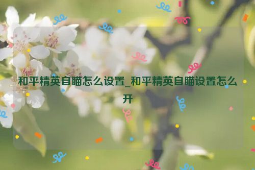 和平精英自瞄怎么设置_和平精英自瞄设置怎么开